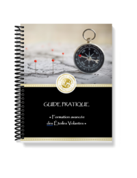 guide pratique feng shui